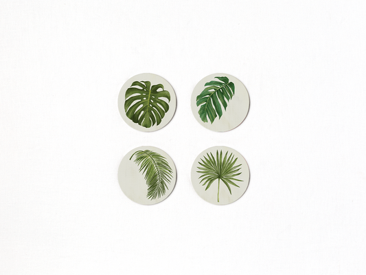 Palm Coaster Set - Available September 2026