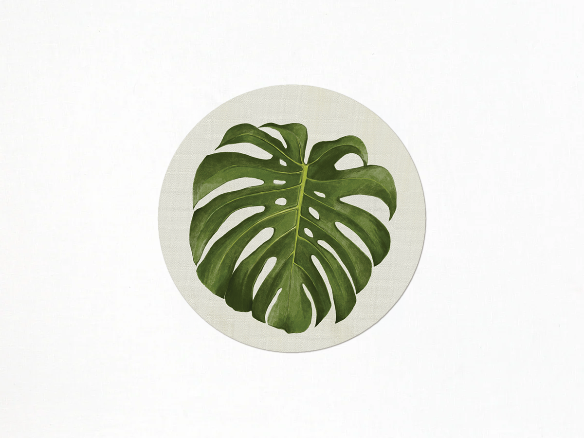 Palm Coaster Set - Available September 2026