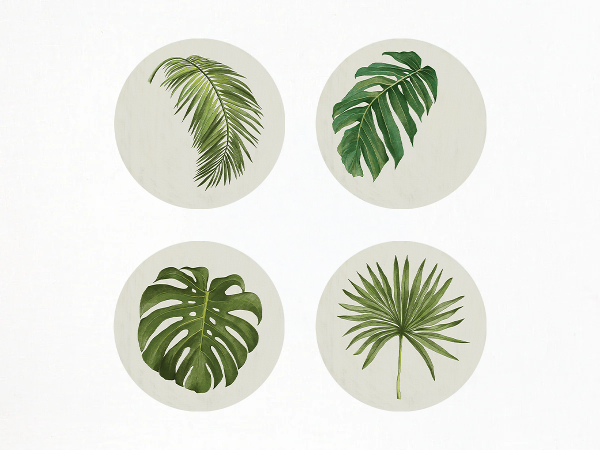Palm Tablemat Set - Available September 2027