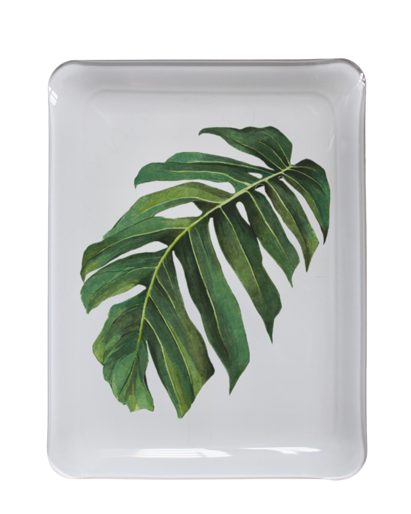 Palm Valet Trays