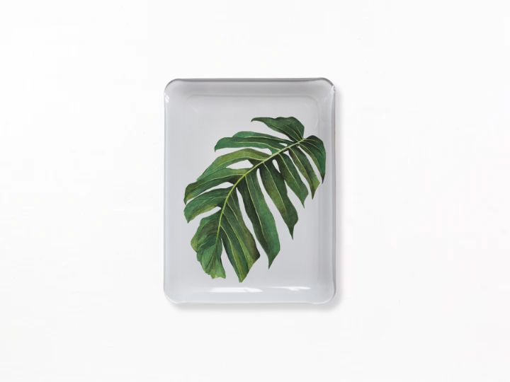 A square white tray with rounded corners featuring a large green monstera leaf printed in the center, shown on a clean white background.